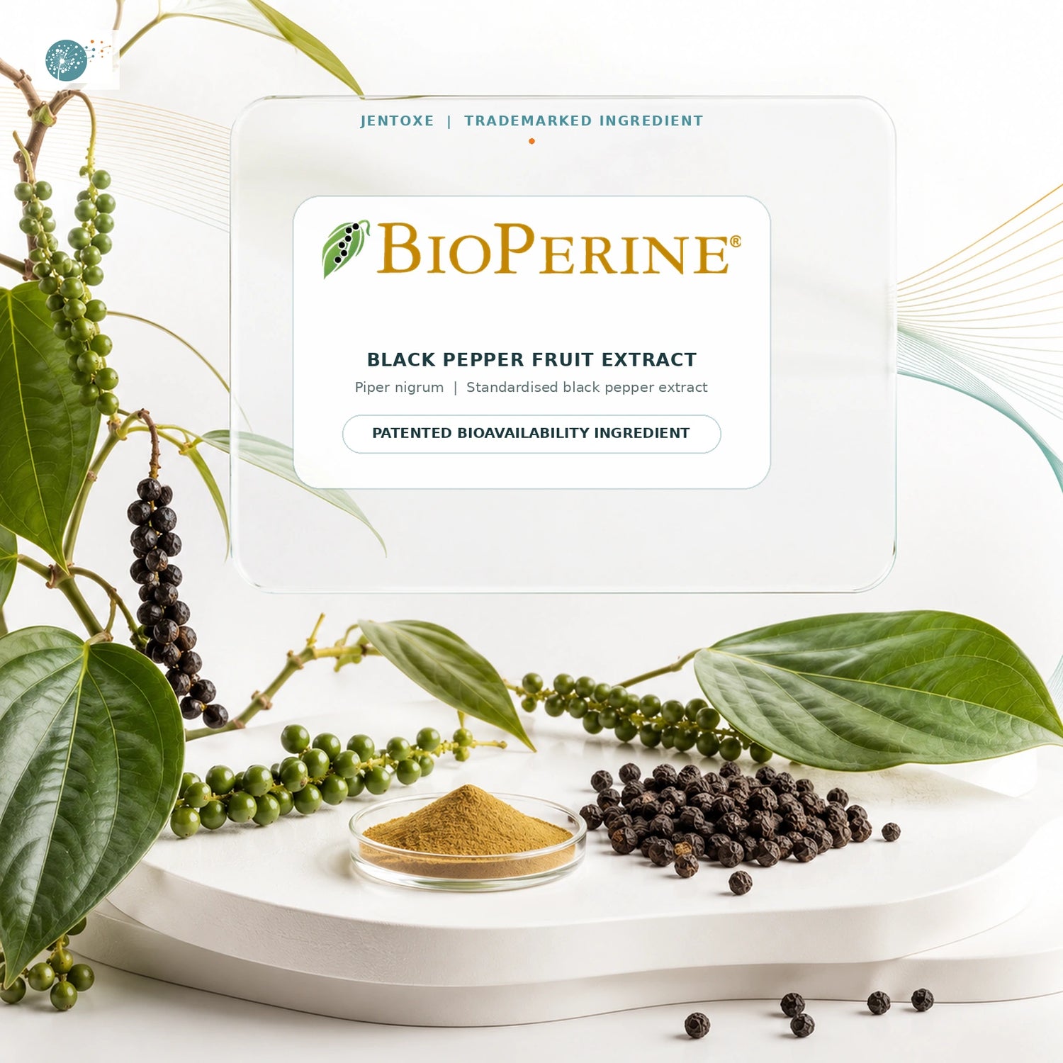 BioPerine black pepper extract bioavailability enhancer for detox supplements