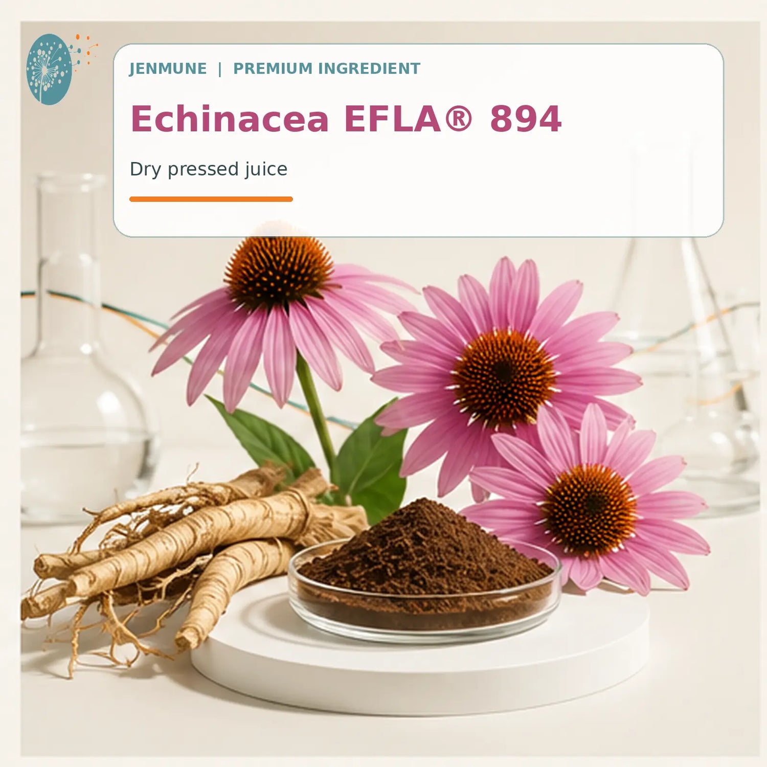 Echinacea EFLA 894 purple coneflower extract in Jenmune for immune system and respiratory health