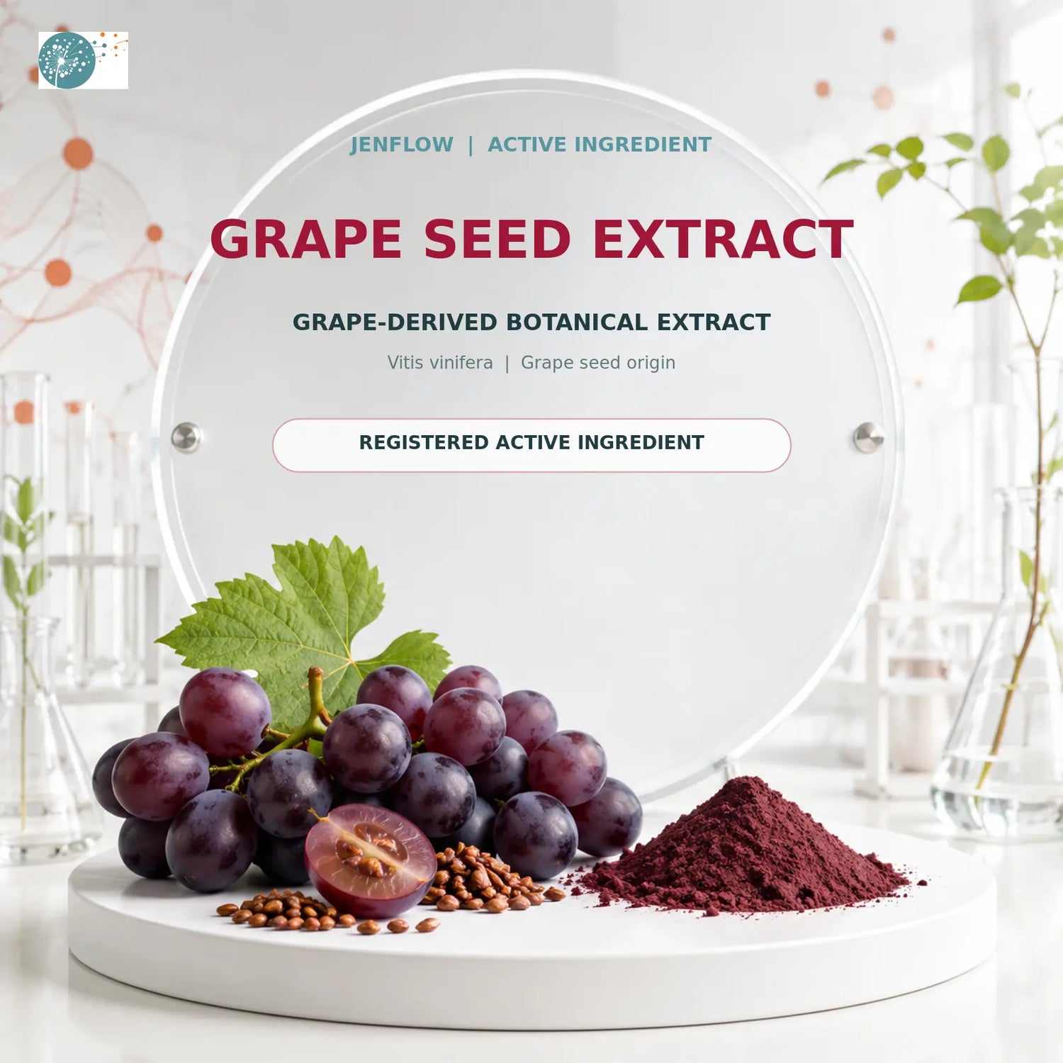 Grape seed extract OPCs for arterial health and blood vessel protection
