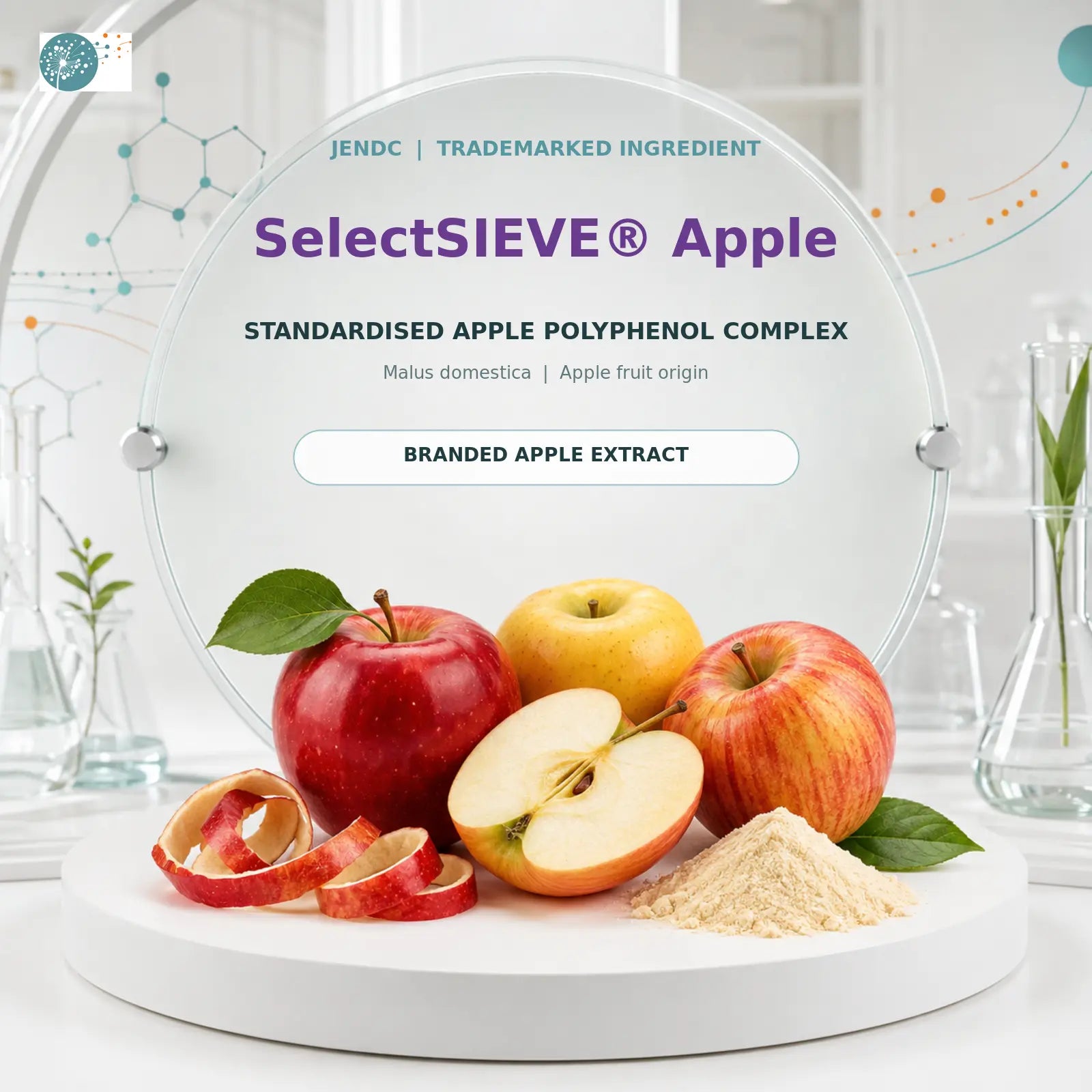 SelectSIEVE Apple standardized polyphenol extract in JenDC for post-meal glucose spike reduction and glycemic modulation
