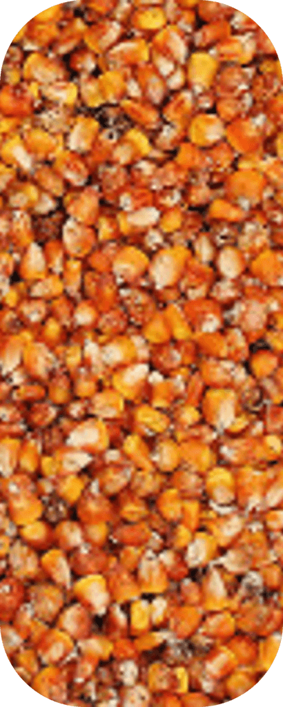 Saccharide Isomerate